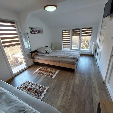Cabana Casa Lu'Baciu Arpaşu de Sus Zewnętrze zdjęcie
