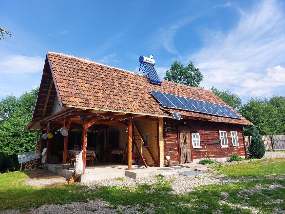 Cabana Casa Lu'Baciu Arpaşu de Sus Zewnętrze zdjęcie