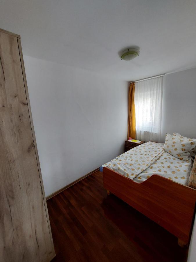 Cabana Casa Lu'Baciu Arpaşu de Sus Zewnętrze zdjęcie