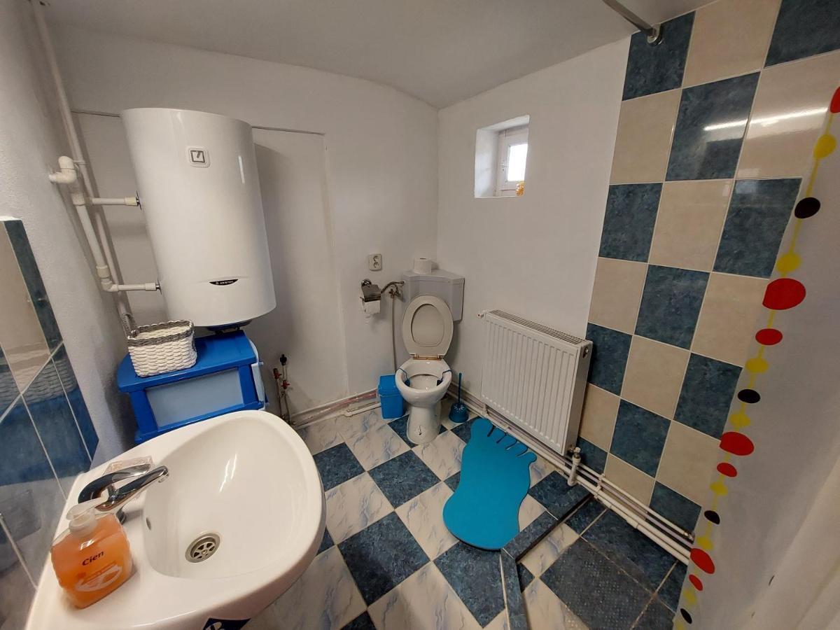 Cabana Casa Lu'Baciu Arpaşu de Sus Zewnętrze zdjęcie