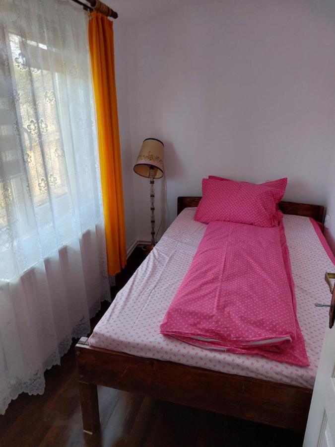 Cabana Casa Lu'Baciu Arpaşu de Sus Zewnętrze zdjęcie