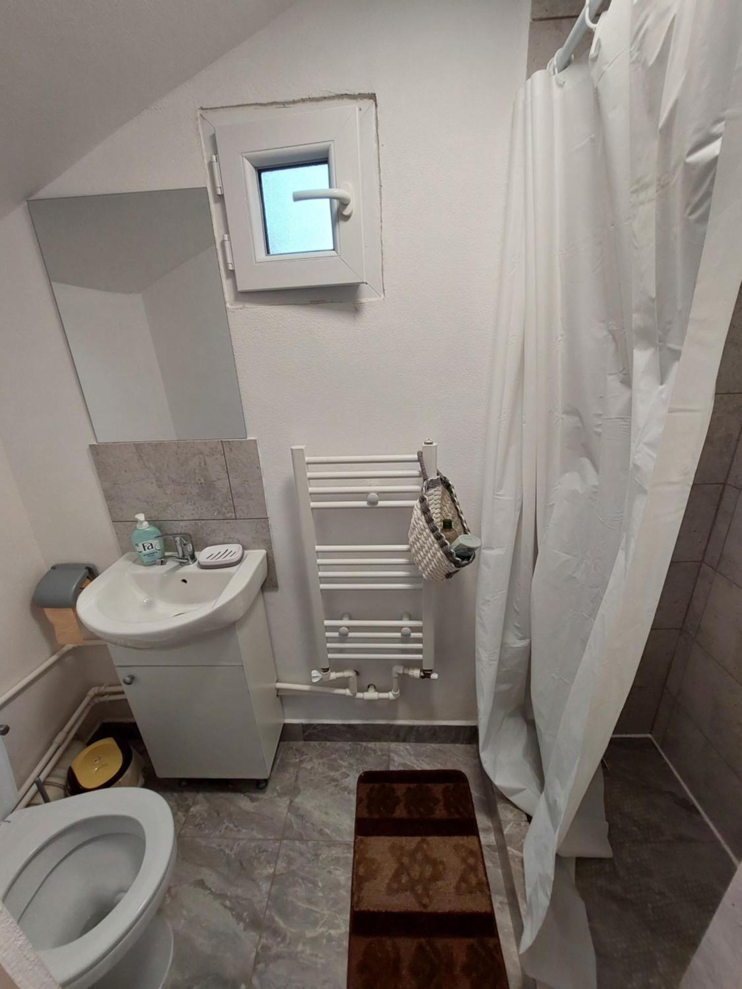 Cabana Casa Lu'Baciu Arpaşu de Sus Zewnętrze zdjęcie