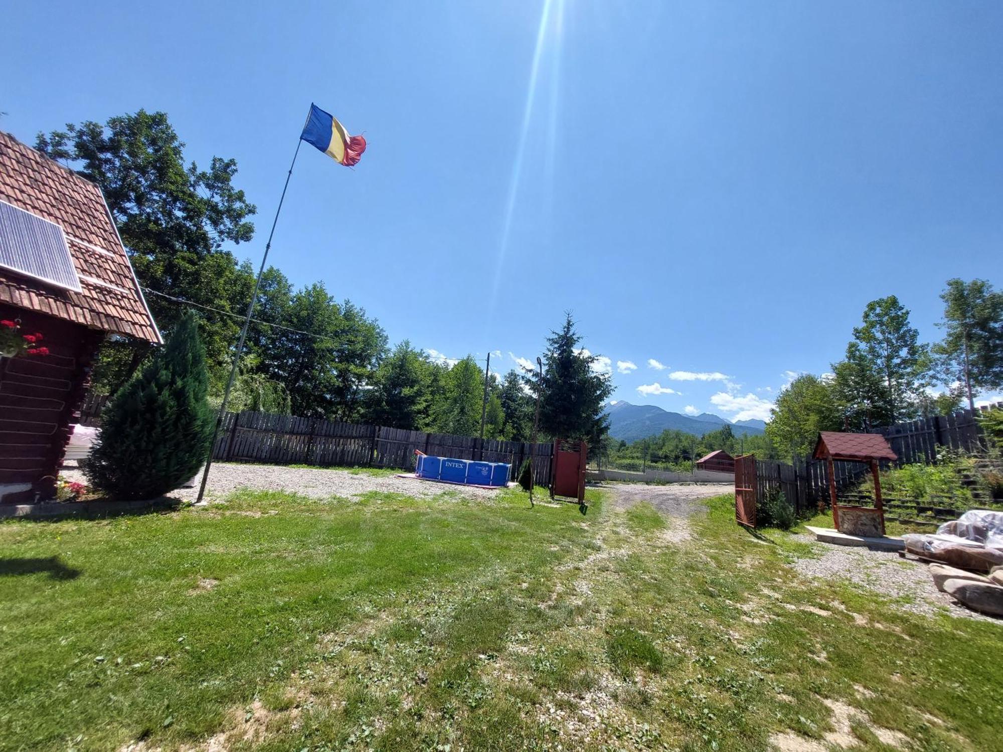 Cabana Casa Lu'Baciu Arpaşu de Sus Zewnętrze zdjęcie